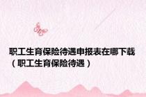 职工生育保险待遇申报表在哪下载（职工生育保险待遇）