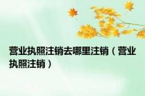 营业执照注销去哪里注销（营业执照注销）
