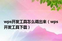 wps开发工具怎么调出来（wps开发工具下载）