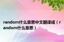 random什么意思中文翻译成（random什么意思）