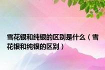 雪花银和纯银的区别是什么（雪花银和纯银的区别）
