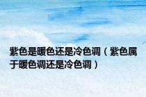 紫色是暖色还是冷色调（紫色属于暖色调还是冷色调）