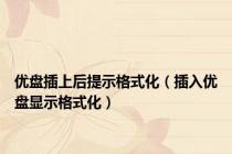 优盘插上后提示格式化（插入优盘显示格式化）