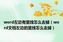 word左边有竖线怎么去掉（word文档左边的竖线怎么去掉）