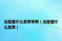 当量是什么意思举例（当量是什么意思）