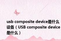 usb composite device是什么设备（USB composite device是什么）