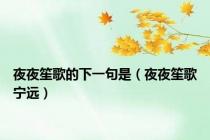 夜夜笙歌的下一句是（夜夜笙歌宁远）