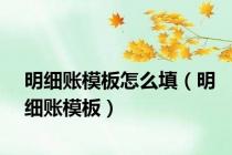明细账模板怎么填（明细账模板）