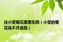 往小受菊花里塞东西（小受的菊花离不开道具）