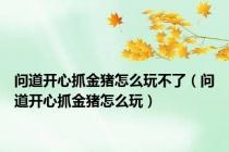 问道开心抓金猪怎么玩不了（问道开心抓金猪怎么玩）