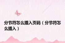 分节符怎么插入页码（分节符怎么插入）