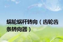 蜗轮蜗杆转向（齿轮齿条转向器）