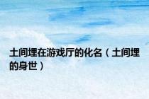 土间埋在游戏厅的化名（土间埋的身世）