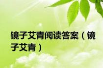 镜子艾青阅读答案（镜子艾青）