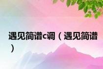 遇见简谱c调（遇见简谱）