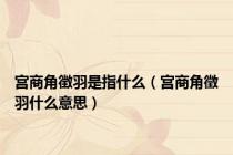 宫商角徴羽是指什么（宫商角徵羽什么意思）