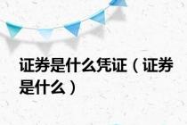 证券是什么凭证（证券是什么）