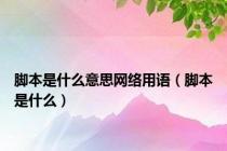 脚本是什么意思网络用语（脚本是什么）