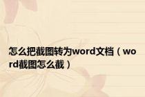 怎么把截图转为word文档（word截图怎么截）