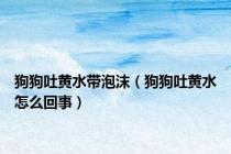 狗狗吐黄水带泡沫（狗狗吐黄水怎么回事）