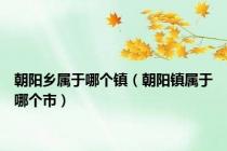 朝阳乡属于哪个镇（朝阳镇属于哪个市）