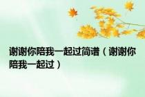 谢谢你陪我一起过简谱（谢谢你陪我一起过）