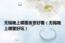 无锡晚上哪里夜景好看（无锡晚上哪里好玩）