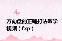 方向盘的正确打法教学视频（fxp）