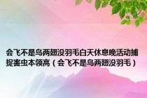 会飞不是鸟两翅没羽毛白天休息晚活动捕捉害虫本领高（会飞不是鸟两翅没羽毛）