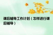 课后辅导工作计划（怎样进行课后辅导）