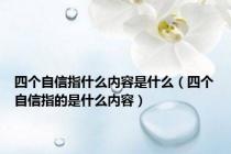 四个自信指什么内容是什么（四个自信指的是什么内容）