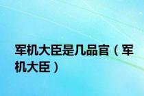 军机大臣是几品官（军机大臣）