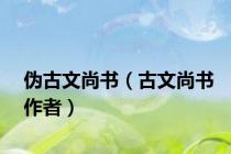 伪古文尚书（古文尚书作者）