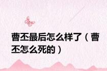 曹丕最后怎么样了（曹丕怎么死的）