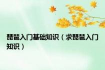 琵琶入门基础知识（求琵琶入门知识）