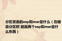 分区里面的esp和msr是什么（在磁盘分区时 前面两个esp和msr是什么东西）