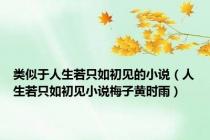 类似于人生若只如初见的小说（人生若只如初见小说梅子黄时雨）