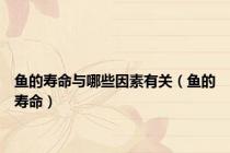 鱼的寿命与哪些因素有关（鱼的寿命）