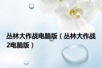 丛林大作战电脑版（丛林大作战2电脑版）