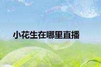 小花生在哪里直播