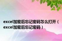 excel加密后忘记密码怎么打开（excel加密后忘记密码）