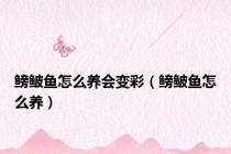 鳑鲏鱼怎么养会变彩（鳑鲏鱼怎么养）