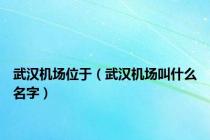 武汉机场位于（武汉机场叫什么名字）