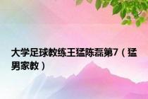 大学足球教练王猛陈磊第7（猛男家教）