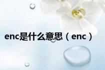 enc是什么意思（enc）