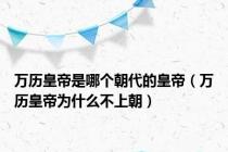 万历皇帝是哪个朝代的皇帝（万历皇帝为什么不上朝）