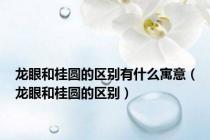 龙眼和桂圆的区别有什么寓意（龙眼和桂圆的区别）