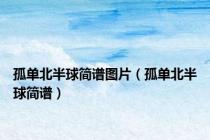 孤单北半球简谱图片（孤单北半球简谱）