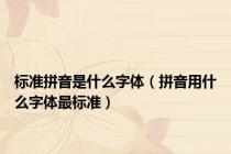 标准拼音是什么字体（拼音用什么字体最标准）
