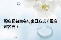梁启超名言名句来日方长（梁启超名言）